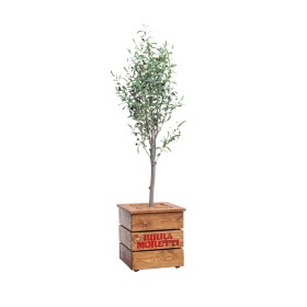 Birra Moretti Square Planter