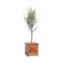 Birra Moretti Square Planter